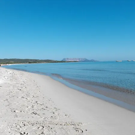 La Casa Dei Marinai By Interhome * Brunella