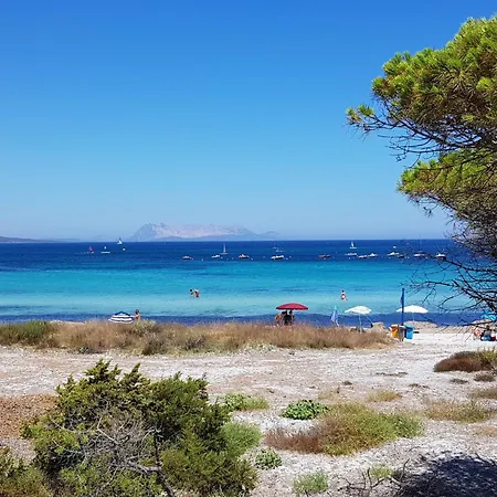 La Casa Dei Marinai By Interhome Apartamento Brunella