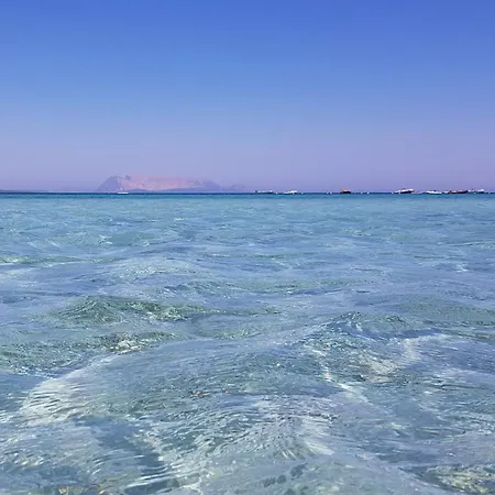 Apartamento La Casa Dei Marinai By Interhome Brunella